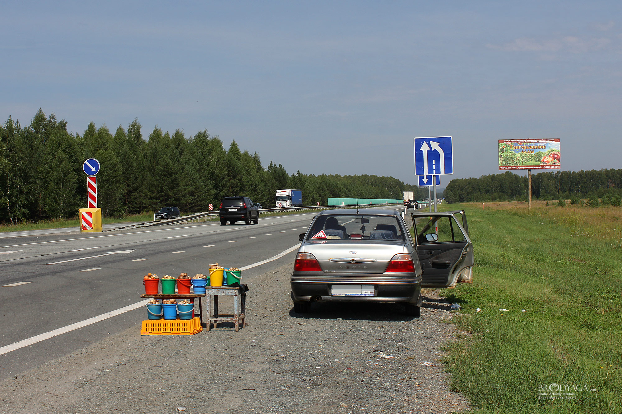 Shcherbakovka (придорожный рынок на трассе М5 Урал, Щербаковка)